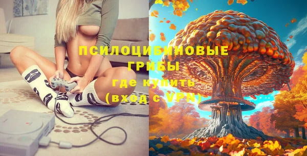 apvp Волоколамск