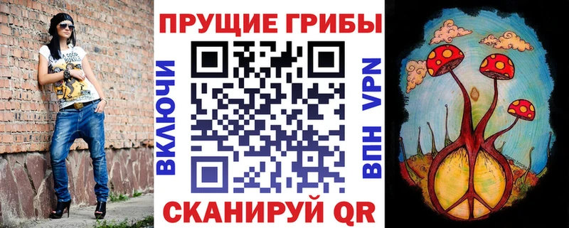 Купить закладки Медвежьегорск Псилоцибиновые грибы Magic Shrooms